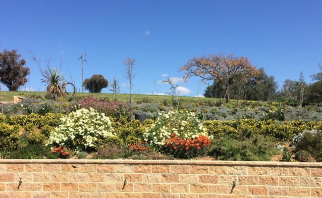 CONTEMPORARY COUNTRY STYLE 2 B