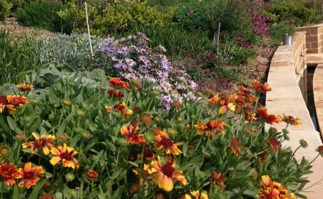 CONTEMPORARY COUNTRY STYLE 2 E