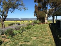 Contemporary Country Style 1