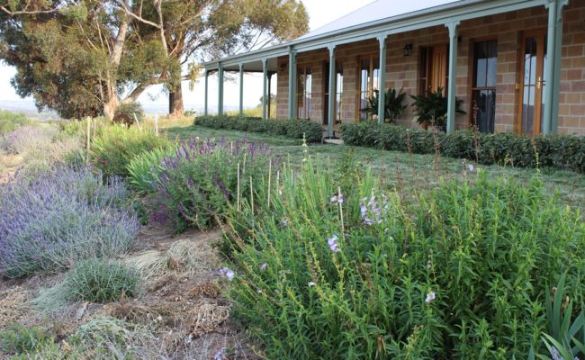 LANDSCAPE PROJECT CONTEMPORARY COUNTRY STYLE 1 C