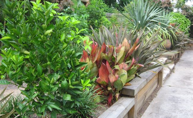 LANDSCAPE PROJECT ORCHARD RETREAT 2