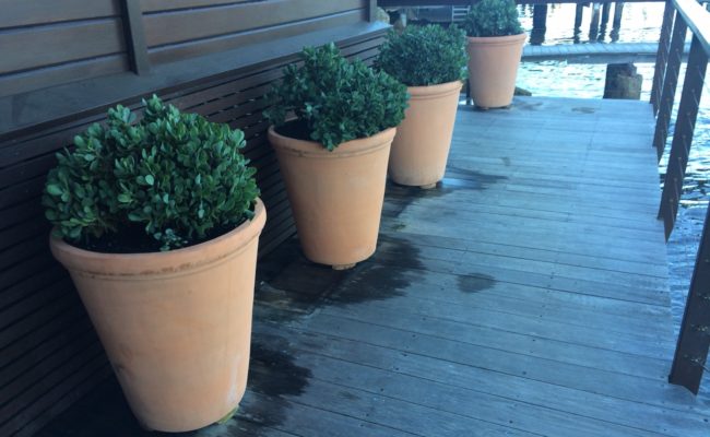 Landscape Design Coastal Living 1