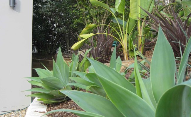 Landscape Projects Form and Function 3