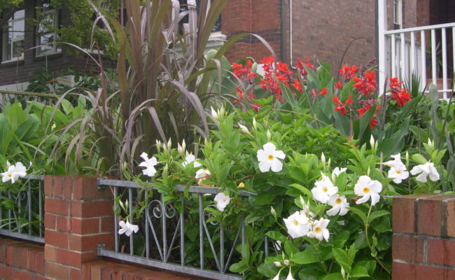 lANDSCAPE PROJECT URBAN JUNGLE 2